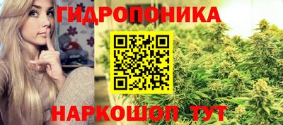 ГАЛЛЮЦИНОГЕННЫЕ ГРИБЫ Конаково