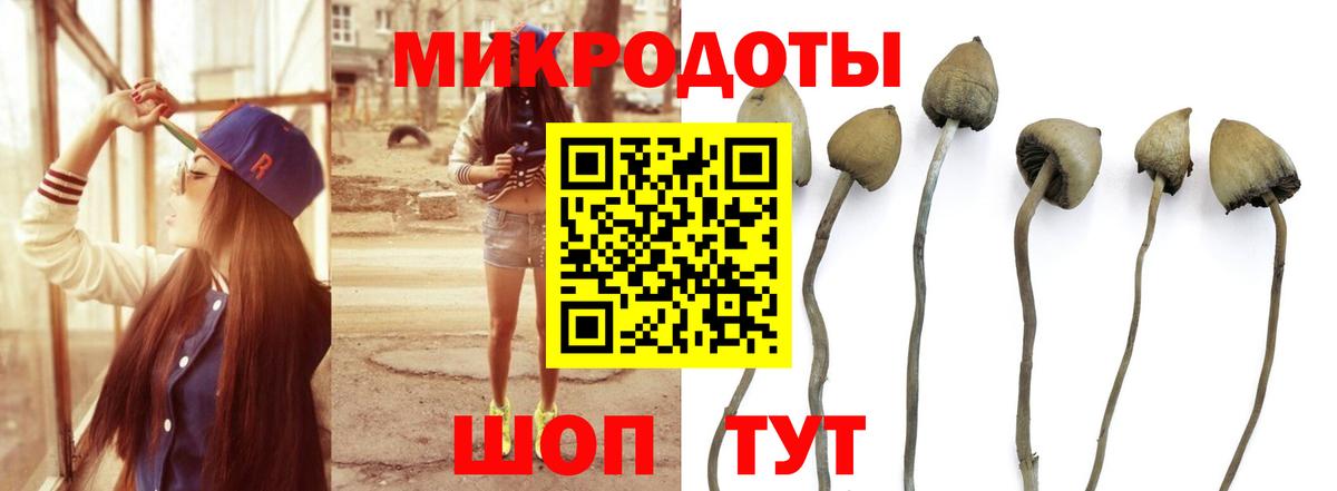 Мытищи  купить   Вход с VPN  Псилоцибиновые грибы Psilocybine cubensis  Псилоцибиновые грибы Psilocybine cubensis 